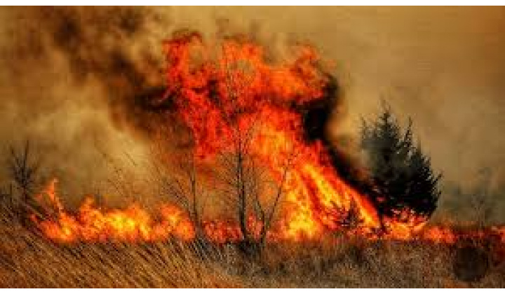 CHRÁŇME PRÍRODU PRED POŽIARMI