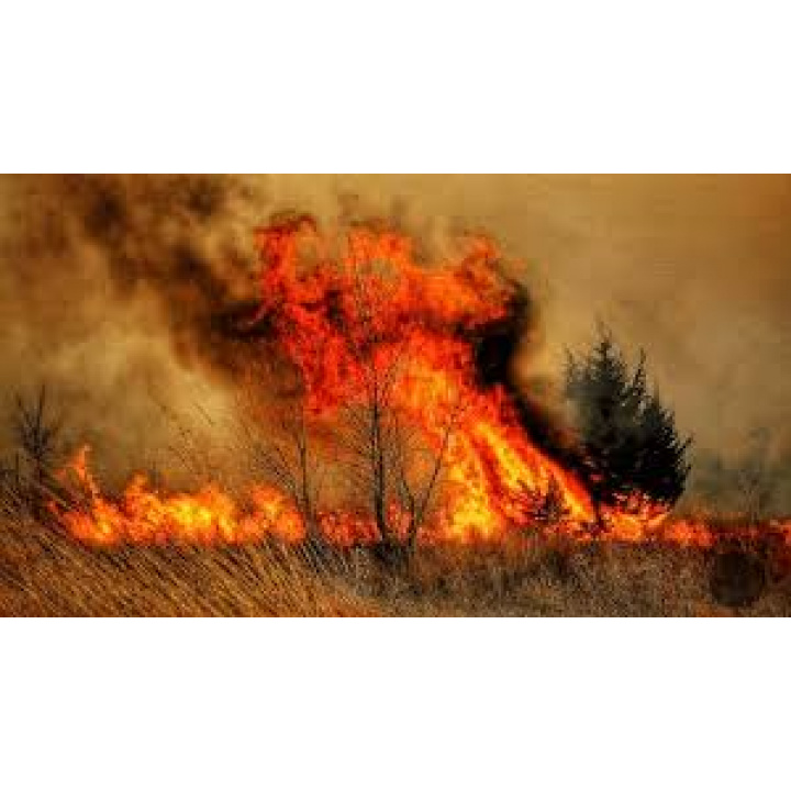 CHRÁŇME PRÍRODU PRED POŽIARMI