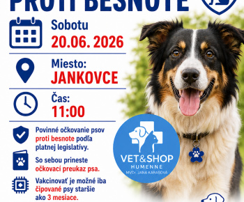 Aktuality / Vakcinácia psov proti besnote - foto