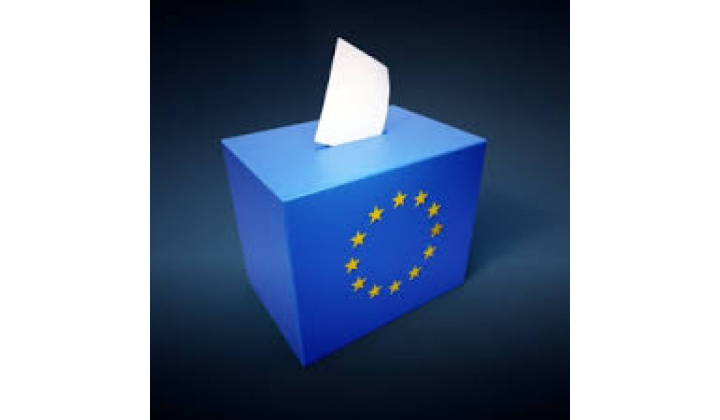 Voľby do Európskeho parlamentu